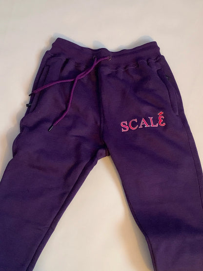 Kids Embroidery Sweatsuit